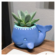 Ceramic 'Hammer at Home' Take Home Kits $12-$65