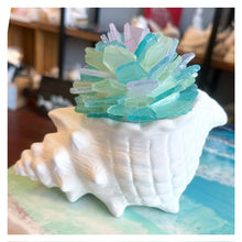 10/30/2024 - Wednesday (6:30pm) Sea Glass Workshop - Trees & Succulents! ($45-$75)