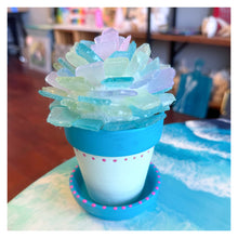 3/25/2025 - Tuesday (6:30pm) Sea Glass Succulent Workshop!