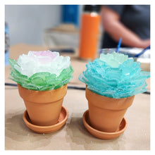 2/24/2025 - Monday (6pm) POP UP - Sea Glass Succulent Workshop at Couch Dog Brewing Co.