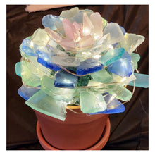 3/25/2025 - Tuesday (6:30pm) Sea Glass Succulent Workshop!