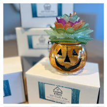 NEW! Pumpkin Sea Glass Succulent - 'Hammer at Home' Take Home Craft Kit