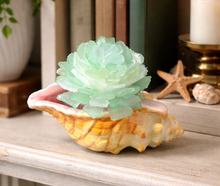 4/1/2026 - Wednesday (6pm) POP UP - Sea Glass Succulent Workshop at Misselwood Events at Endicott College ($60-$65)