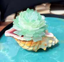 4/1/2026 - Wednesday (6pm) POP UP - Sea Glass Succulent Workshop at Misselwood Events at Endicott College ($60-$65)