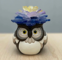 6/5/2025 - Tuesday (6:30pm) Succulents by the Sea Workshop!