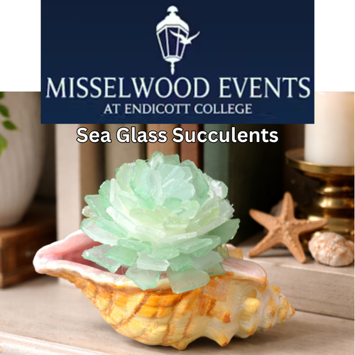 4/1/2026 - Wednesday (6pm) POP UP - Sea Glass Succulent Workshop at Misselwood Events at Endicott College ($60-$65)