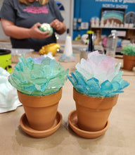 10/30/2024 - Wednesday (6:30pm) Sea Glass Workshop - Trees & Succulents! ($45-$75)